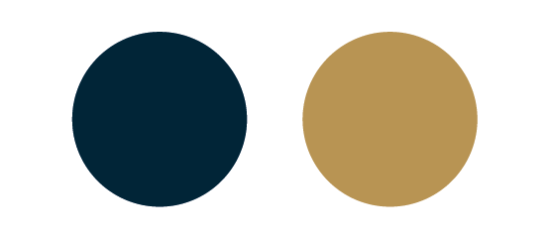 Del Sol Abogados color palette: navy blue and gold